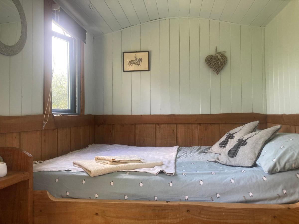 Berwyn Shepherds Hut *